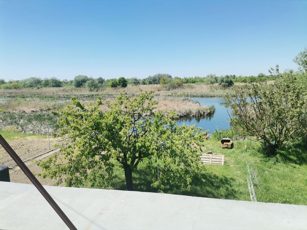 Click to See Next Image