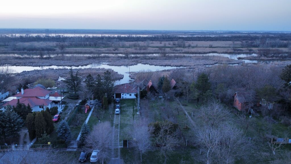 Click to See Next Image