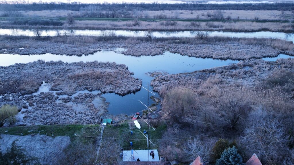 Click to See Next Image